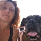 Dedicated Dog Sitter for Your Home