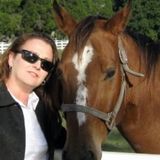 East Hillsborough County House sitter Available