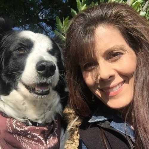 House Sitter Provider Cindy Hansen's Profile Picture