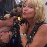 For Hire: Honest pet Lover/Dog Walker in Mississauga, Ontario