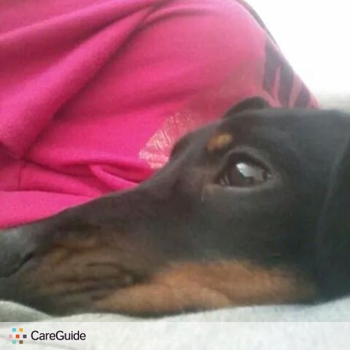 Pet Care Provider Diana D's Profile Picture
