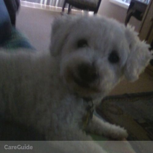 Pet Care Provider Jo-Ann F's Profile Picture