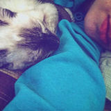Seeking Vancouver Pet Sitter Opportunity