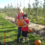 Qalified, Dependable, and Nurturing Caregiver available immediately