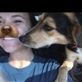 Interested In a Pet Carer Job in Kingsport, Tennessee