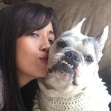 Pet BNB built to care for your pets.