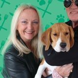 Animals Galore - Pamela's Purrfect Pawcare