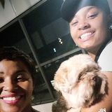 Housesitting,Babysitter,Pet sitter