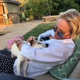 Hi my name is Tess Hunt and I am a certified Dog Handler and licensed Groomer in Reno, Nevada. I just relocated to Reno.