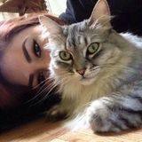 Trustworthy, Talented, Loving Pet Sitting Available Now!