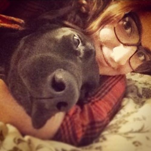 Pet Care Provider Marie Adoranti's Profile Picture