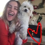 Your pet need a friend and awesome sitter? Im your gal!