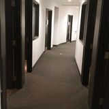 Fully Qualified & Professional Painter