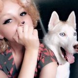Pet Sitter