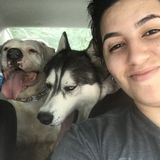 Seeking a Pet Sitter Opportunity in Stafford