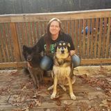 House and Pet sitting