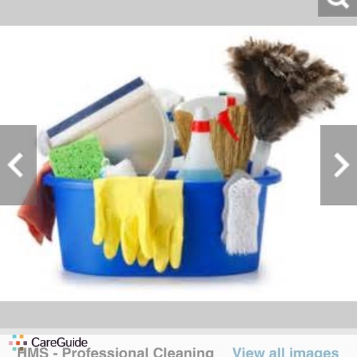 Housekeeper Provider Sparkle C's Profile Picture