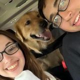 Pet Sitting Offered in Watertown/Fort Drum area