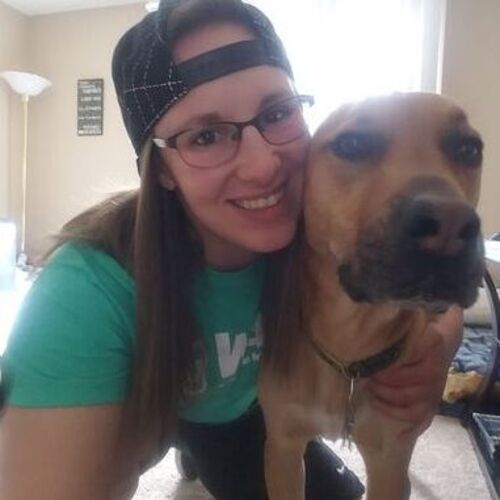 exotic pet sitters near me