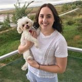 Experienced dog lover, looking to make new four-legged friends!