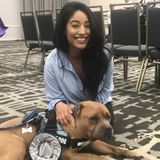 Menifee Animal Caregiver Available For Job Opportunities