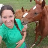 Fort Collins Animal Care Provider Seeking Work