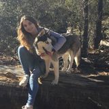 Disciplined Animal Caregiver