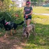Trusted, Loving and Safe Dog Care Service Provider! Here For You, And Them!