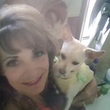 Available for Las Vegas home/Animal Caregiver Opportunity