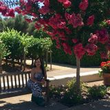 Eager 1st time Housesitter available