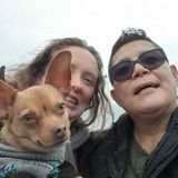 Qualified and Dependable Pet Sitter - Available Immediately
