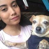 Skillful Pet Care Provider in Bellflower