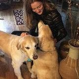 Interviewing For Sun Valley Dog Sitter, Nevada Jobs