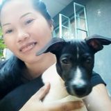 I love pets i love to cares them...i will do my best to cares for them. I am not a pet trainer but i can teach them ..