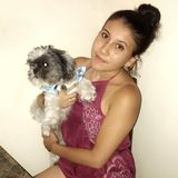 South Gate Pet Sitter Seeking Being Hired