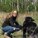 Airdrie Pet Care Provider Interviewing For Work in Alberta