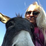 Looking for Caring small farm Sitter in Laurel