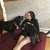 Available For Cumberland Petsitter, Rhode Island Jobs