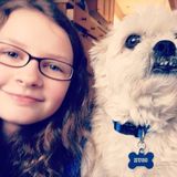 I am a pet sitter and walker wanting to bring joy to your furry friend.