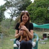 Mature, reliable pet sitter and dog walker seeks part-time hours