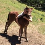Animal lover and great pet sitter