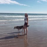 Compassionate Petcare & Dogwalking Available