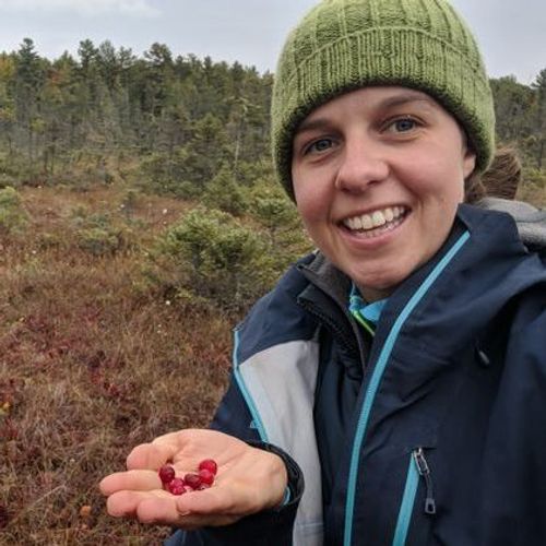 cat sitter north york