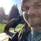 Wonderful House Minder in Victoria