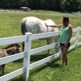 Good Animal Lover Available Immediately