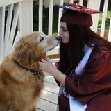 Great Pet Care Provider