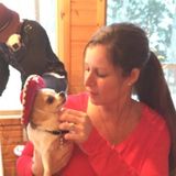 Qualified In Home Sitter for all ages Available Immediately