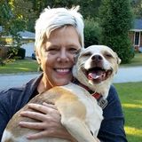 Caring Pet sitting/Dog Walker
