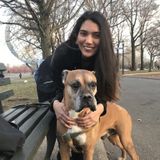 For Hire: Dedicated Animal Caregiver in Corona