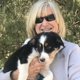 Qualified and Dependable Pet Sitter/Dog WalkerAvailable Immediately